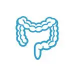 Gastrologists