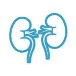 Renal and Metabolic